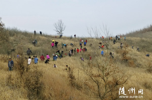 ����̫�׶��羰��ʤ����֯�����������ֲ��