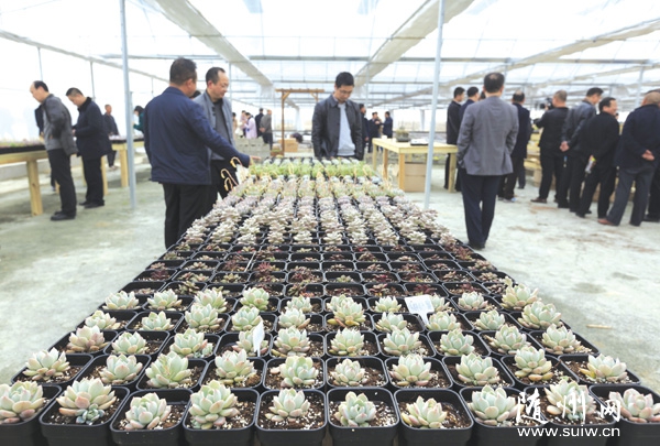 ԰չ˾ڹˮг100Ķֲֲҵ԰