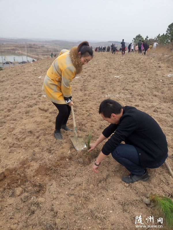 ������ɽ�����������������ֲ��