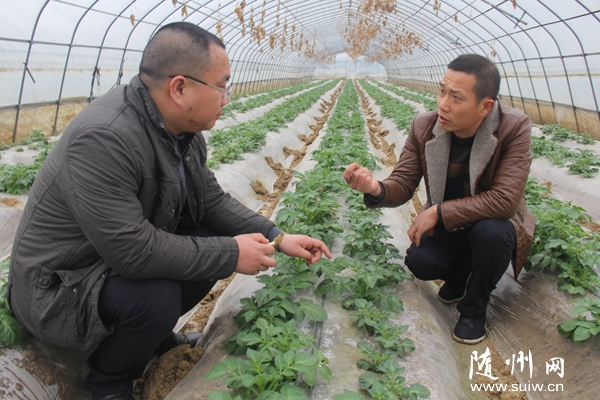 �ε��򻨶�ũҵ���޹�˾��������Э���󺣾�ҵ���޹�˾�Ƽ���Ա���м���ָ��