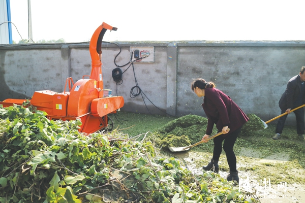 �������������γ���������ֲ���ӹ�����ֳһ�����Ĺ�����ƶ��ҵ����