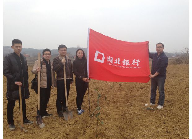 �����������ݷ�����֯����Ա������פ��忪չ����ֲ���