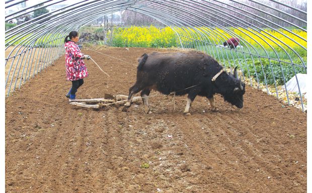 ���ݳ����������Ҵ����æ����