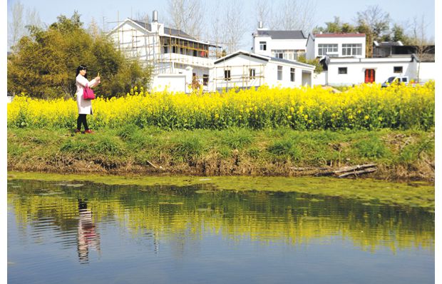 ��԰�����ũ��