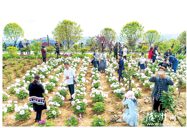 ��������ĵ��԰��԰