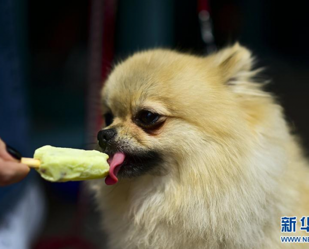 С���������