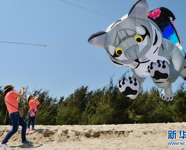 ̩�����ʷ��ݽڿ�Ļ