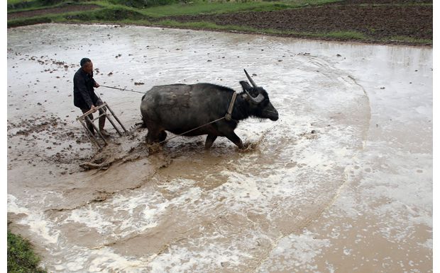 ��������������д�ũ��չũҵ����