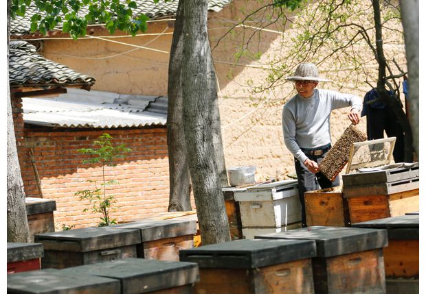 ���������򻪱����ũ���Ƶķ��۹���Ӧ��