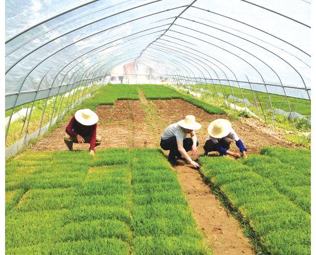 ���ع���������ץũʱ���ڼ�����������