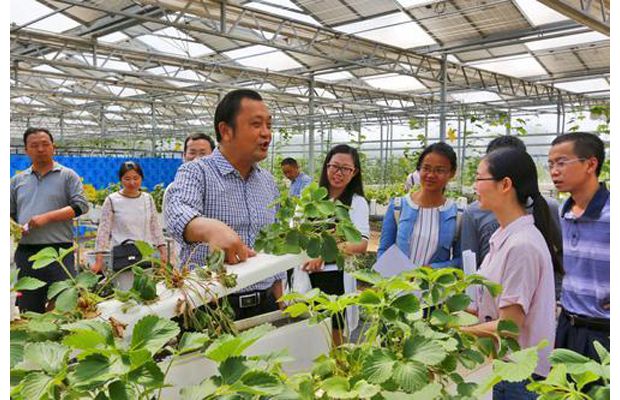 ������ũҵϵͳʵʩ������ɲ��ɳ����̡�