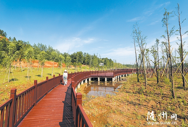 Ưˮʪع԰ɺ󽫳Ϊй۹