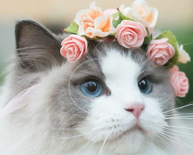 ���һè�䱻�������� ��������ȹ��ˮ������