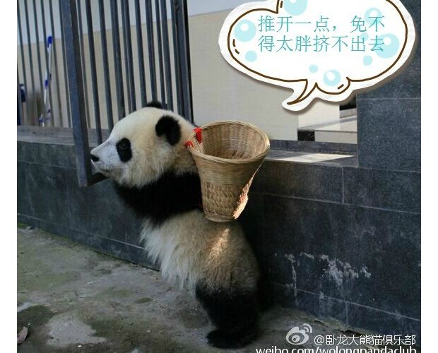 ����ècos������è������ñ����¨�ȷ���