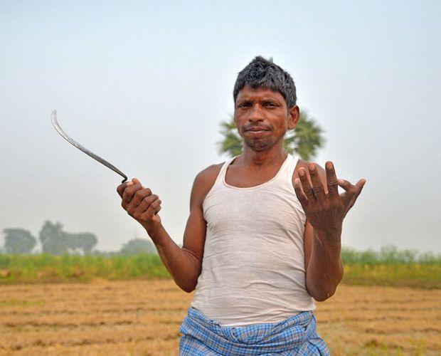 ӡ��һ����������12����ָ��12����ֺ