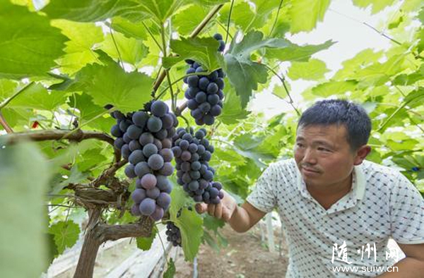 �������������������ת������ֲ��������