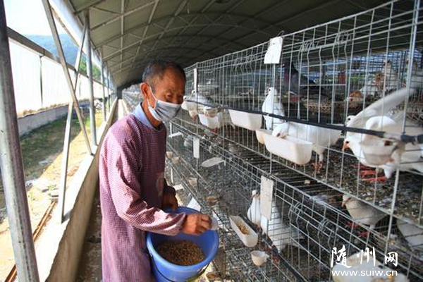 ���ػ�������Ȫ�忪չ������ֳ