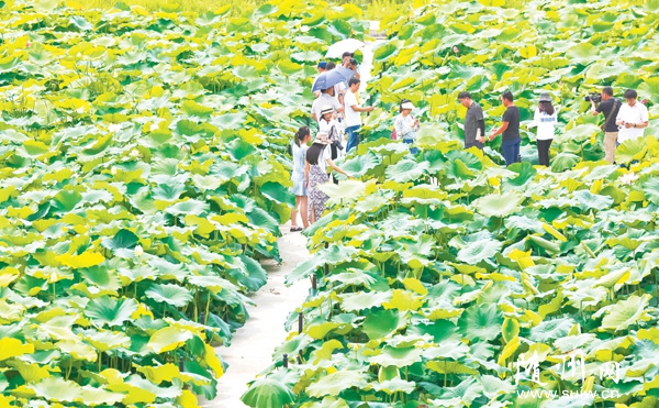 �۹�ũҵ���������