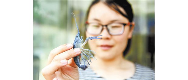 ���մ��񲶻���ɫ��Ϻ