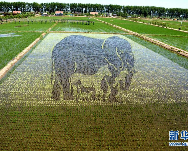 ����������3D���ﻭ�����������