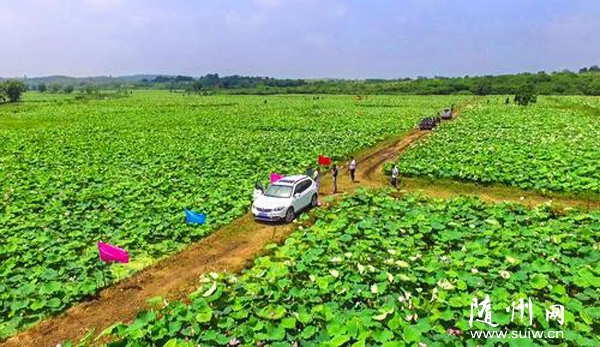 ��ˮ�й�������ե�Ŵ��������ʽ���̫��������