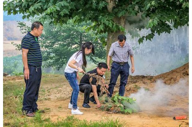 ������ɭ��վȫ�����÷��������׶����鹤��