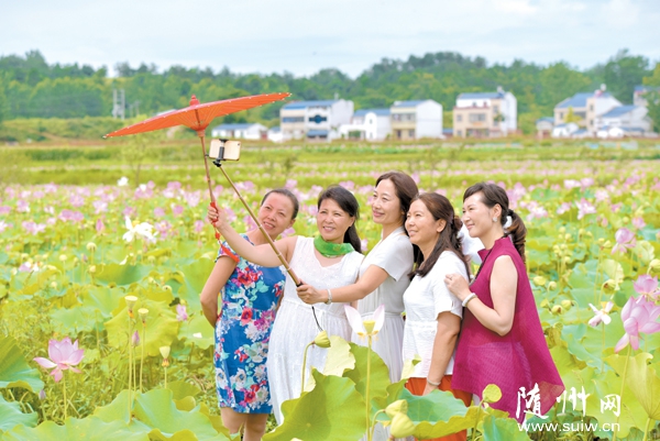 ����ũҵ��̬԰�ɻ�ʢ��������������