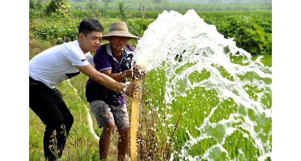 ˫�Ǵ忹������