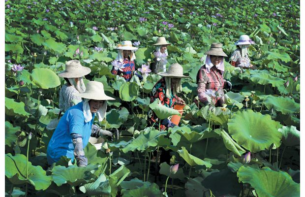 ��ˮ�гǽ����´���ե�Ŵ�ͨ���������ʽ�����1000Ķ̫��������