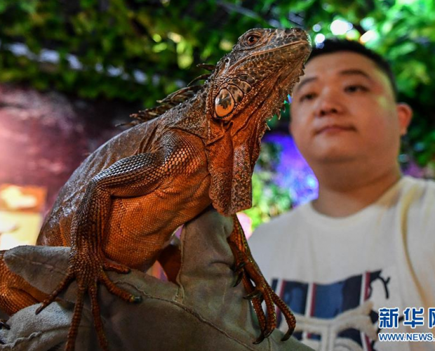 �����֡�֮�й�����