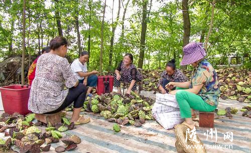 ̫������ϲ�����