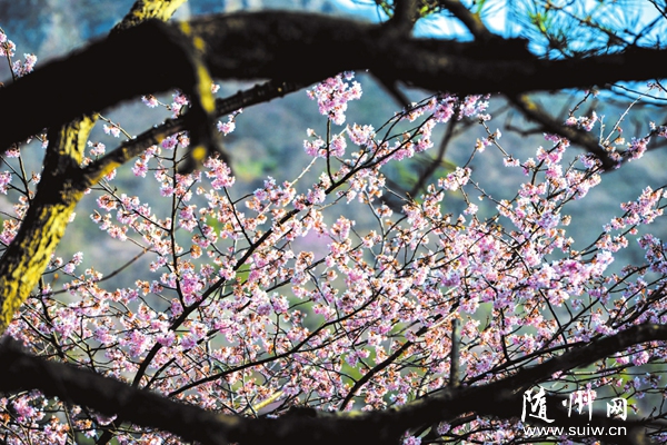 ϲӭʮ�Ŵ� ӡ����ɽ