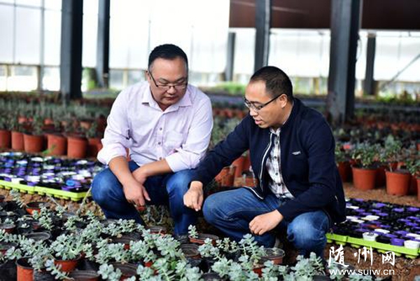 ��ˮ�������������ס��塱�������̹�ϵ