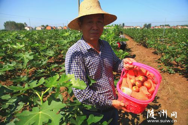 �������������������������ⴴҵ���˷���Ͷ��