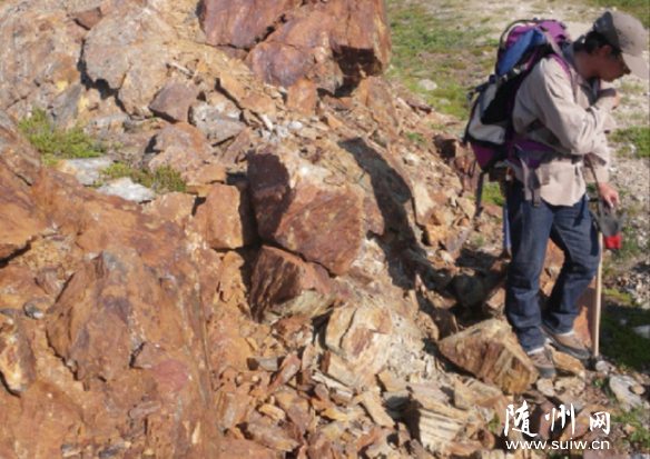 ���ô���������Դ�����֤�� ӵ��39.5������ʷ