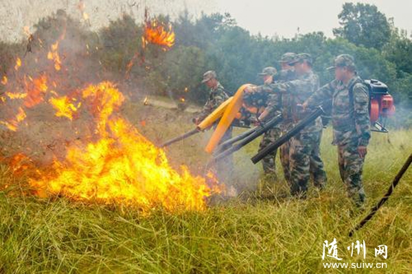 �������䲿��֯Ӧ���ֶӶ�Ա������һ�ܵ�ɭ�����ѵ