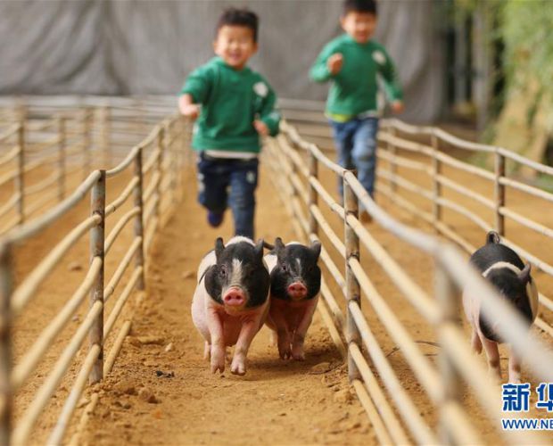 ���ܰɣ�С��!