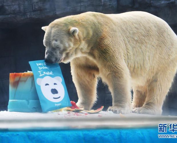 �¼��¶���԰Ϊ��������Ŭ������