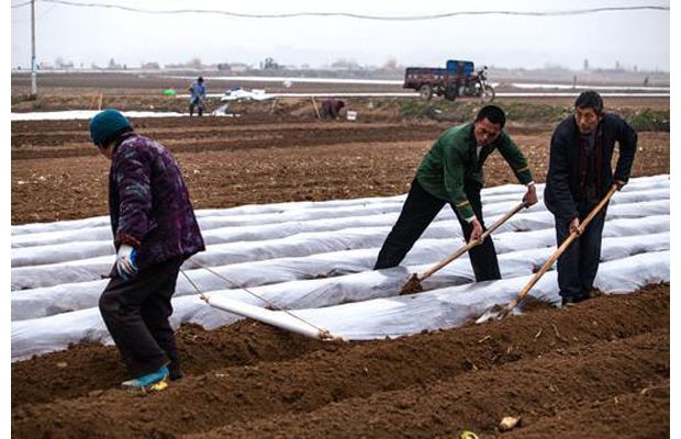 ���¢��ֲ������