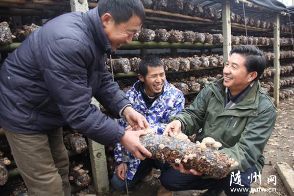 ָ���㹽����