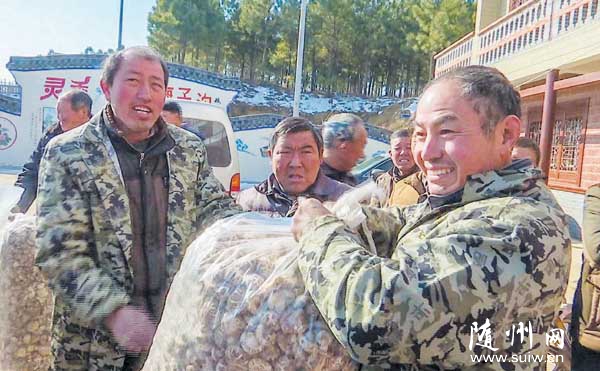 �㹽���׺���