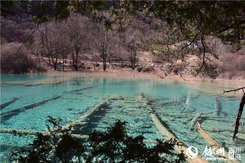 ��կ��3��8�����¿��� �˼��ɾ�����ʵ��