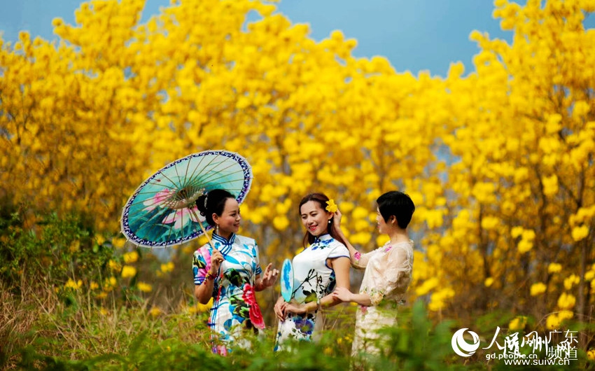 ���ݻ������������񶴴���ɽ���ƽ�ס�ˢ������Ȧ