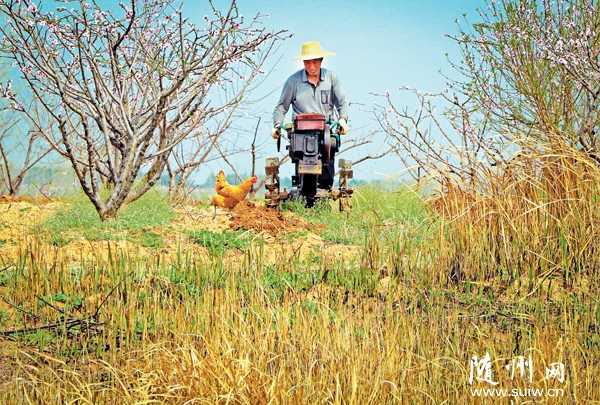 ��չ��������