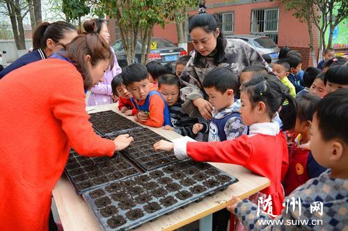 ̫����������!