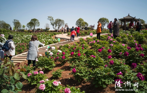 ����ĵ��԰�𽥽�������ͻ���