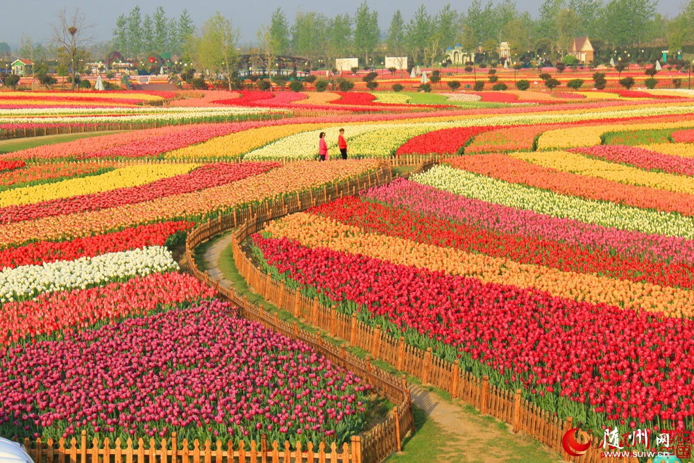 �������������� �γǴ���ͻ���