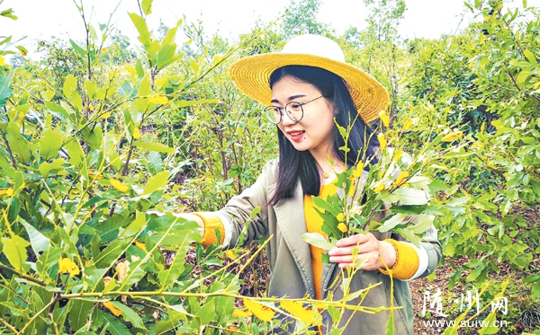 ����������Դ �ƽ���ҵ����