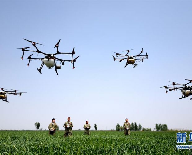 ֲ�����˻�������һ��������