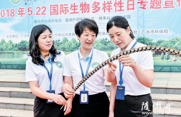 �ذ�Ұ������������ü�԰